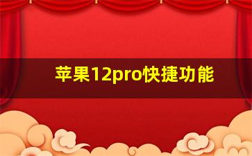 苹果12pro快捷功能