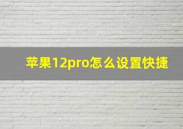 苹果12pro怎么设置快捷