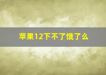 苹果12下不了饿了么