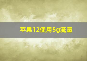 苹果12使用5g流量