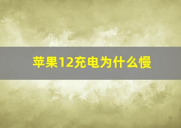 苹果12充电为什么慢