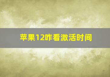 苹果12咋看激活时间