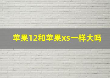 苹果12和苹果xs一样大吗