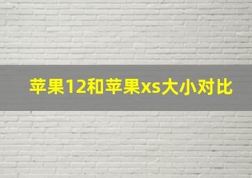 苹果12和苹果xs大小对比