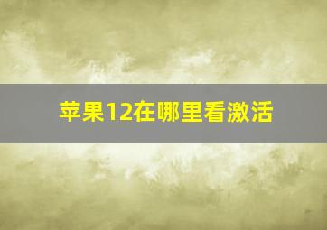 苹果12在哪里看激活