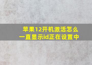 苹果12开机激活怎么一直显示id正在设置中