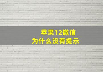 苹果12微信为什么没有提示