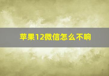 苹果12微信怎么不响