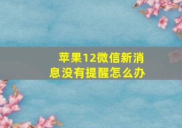 苹果12微信新消息没有提醒怎么办