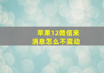 苹果12微信来消息怎么不震动