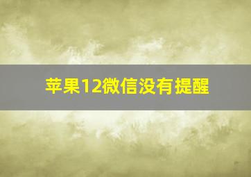 苹果12微信没有提醒