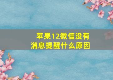 苹果12微信没有消息提醒什么原因