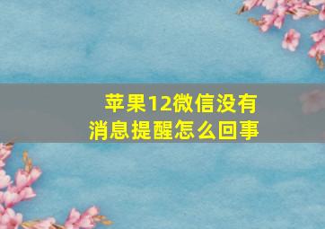 苹果12微信没有消息提醒怎么回事