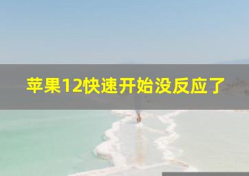 苹果12快速开始没反应了