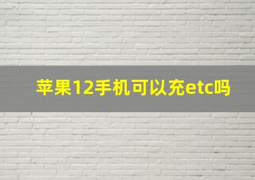 苹果12手机可以充etc吗