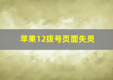 苹果12拨号页面失灵