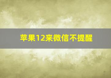 苹果12来微信不提醒