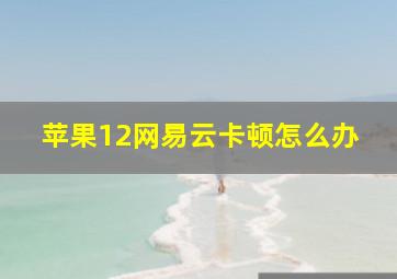 苹果12网易云卡顿怎么办