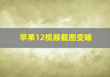 苹果12视频截图变暗