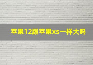 苹果12跟苹果xs一样大吗