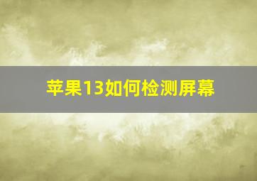 苹果13如何检测屏幕