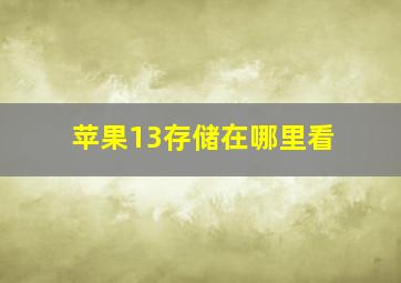 苹果13存储在哪里看