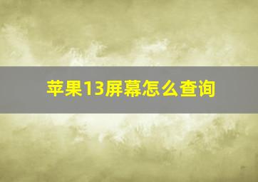 苹果13屏幕怎么查询