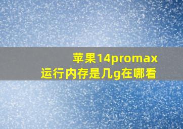 苹果14promax运行内存是几g在哪看