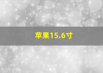 苹果15.6寸