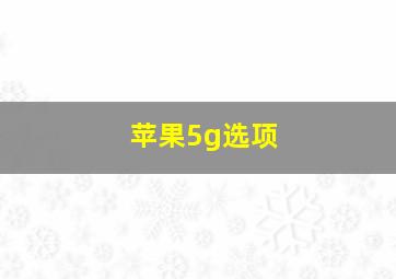 苹果5g选项