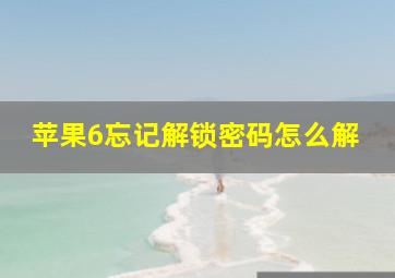 苹果6忘记解锁密码怎么解