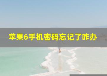 苹果6手机密码忘记了咋办