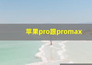 苹果pro跟promax