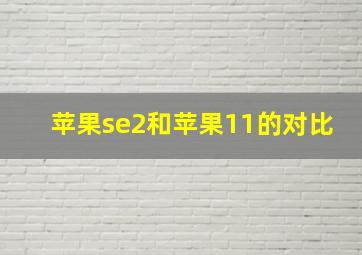 苹果se2和苹果11的对比