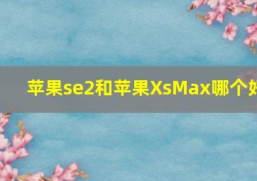 苹果se2和苹果XsMax哪个好