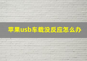 苹果usb车载没反应怎么办