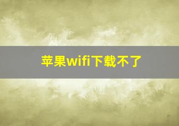 苹果wifi下载不了