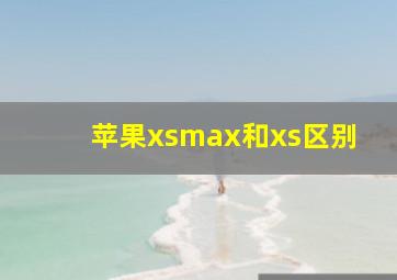 苹果xsmax和xs区别