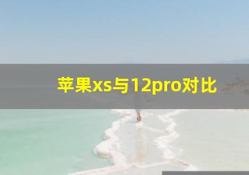 苹果xs与12pro对比