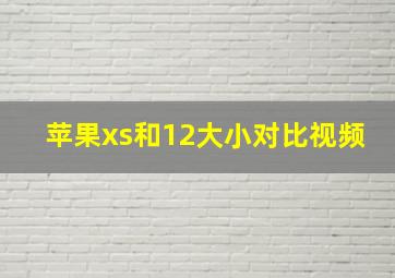 苹果xs和12大小对比视频