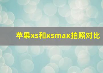 苹果xs和xsmax拍照对比