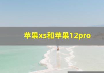 苹果xs和苹果12pro