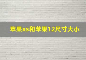 苹果xs和苹果12尺寸大小