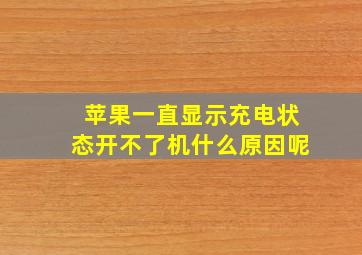 苹果一直显示充电状态开不了机什么原因呢