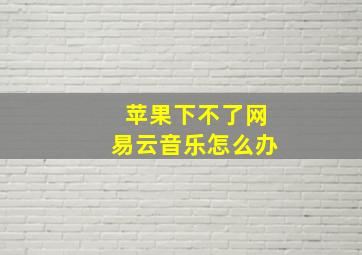 苹果下不了网易云音乐怎么办