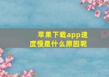 苹果下载app速度慢是什么原因呢