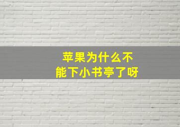 苹果为什么不能下小书亭了呀