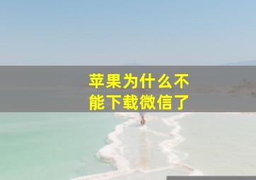 苹果为什么不能下载微信了