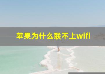 苹果为什么联不上wifi