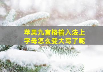 苹果九宫格输入法上字母怎么变大写了呢